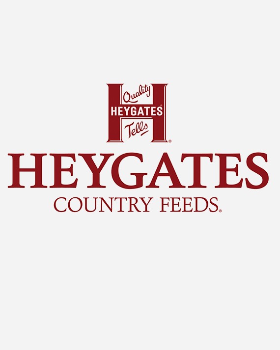 Heygates