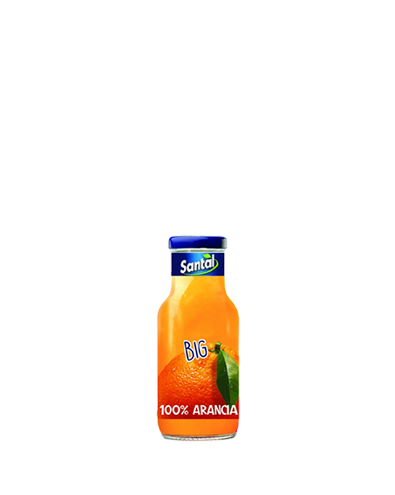 Orange Juice Arancia Santal 24x25cl