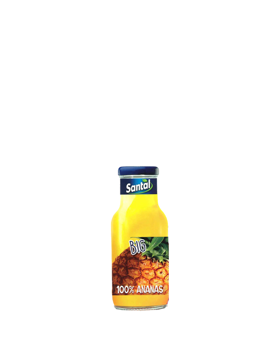 Pineapple Juice Ananas Santal 24x25cl