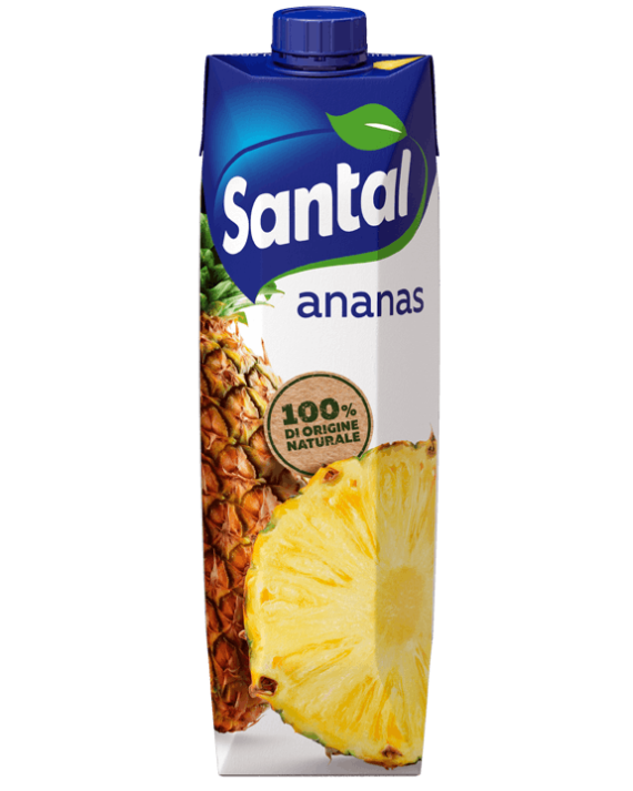 Pineapple Juice Ananas Santal 12x1lt
