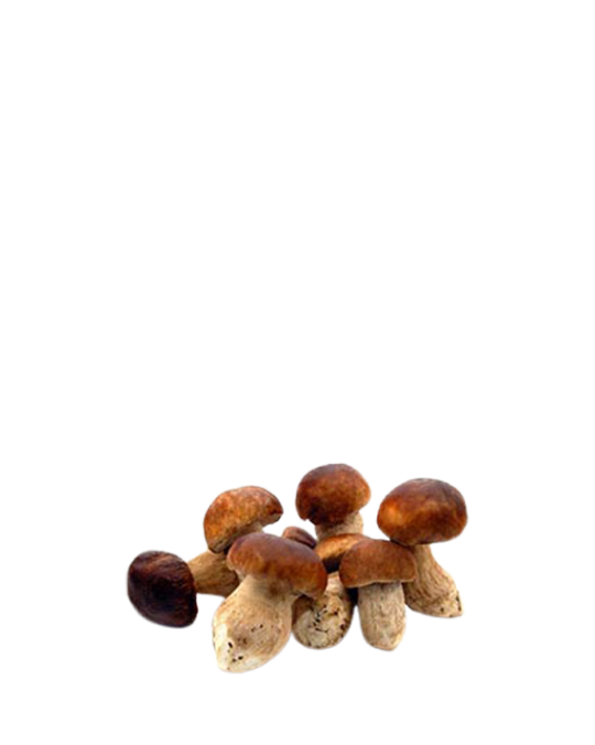 Frozen Mixed Mushrooms Funghi Misti Con Porcini 1kg