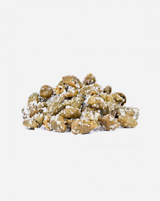 Capers In Salt D'Amico 1kg